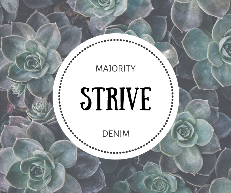 Word of the Week: Strive (How To Stay Motivated This Year)
